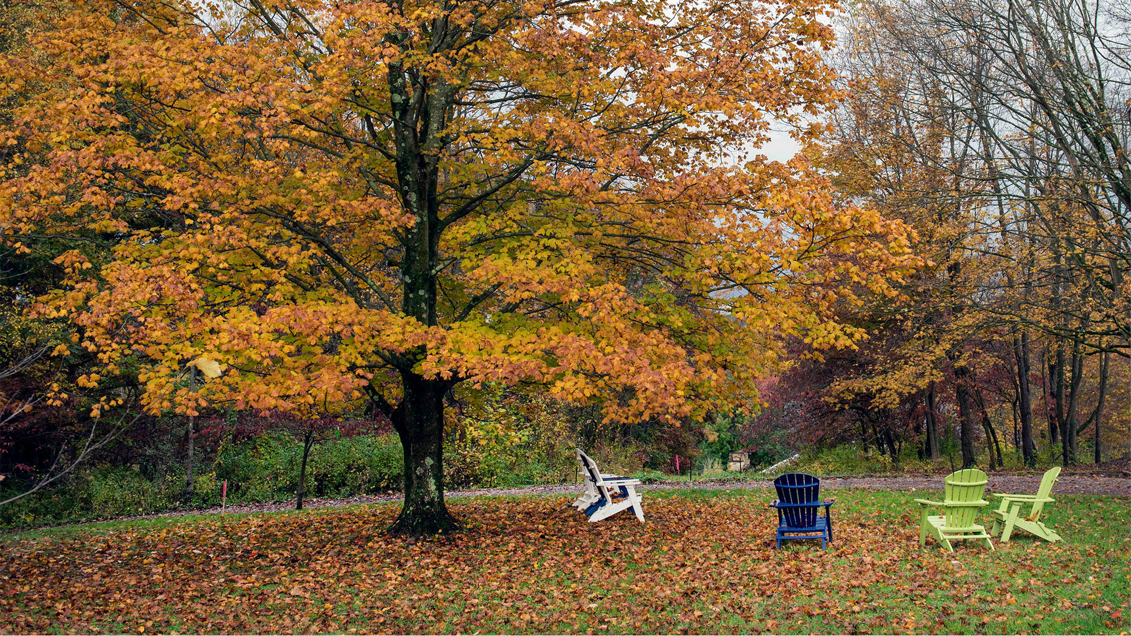 Pittsburgh Botanic Garden – Inspiring People to Grow